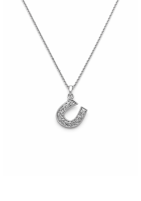 Horseshoe- Pendant